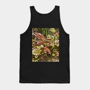 Leaves of Three Leave Them Be Tank Top